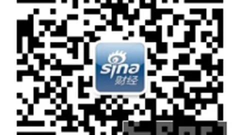 新项目黑域宣布停工：官方坦言发展路径受阻